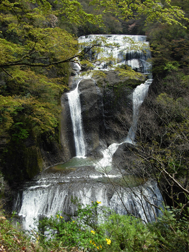 袋田の滝