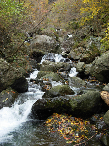 大岩の滝